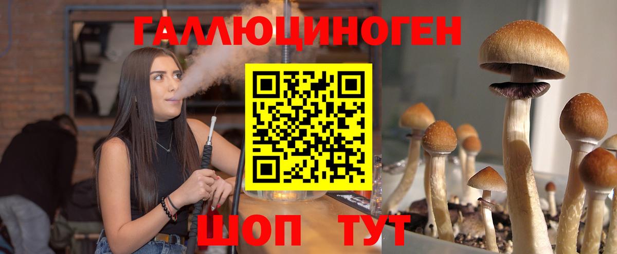 Родники  Псилоцибиновые грибы прущие грибы  Вход с VPN 